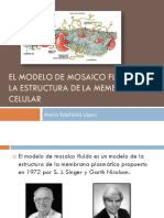 Modelo de Mosaico Fluido PDF