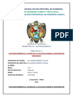 Practica n10 Catalisis Enzimatica Accion de La Catalaza Sobre El Peroxido de Hidrogeno 1