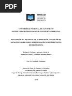 Evaluación Del Potencial de Acidificación, Liberación de Metales y Posibilidades de Remediación de Sedimentos Del Río Reconquista