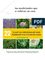 22 Plantas Medicinales Que Podemos Cultivar en Casa