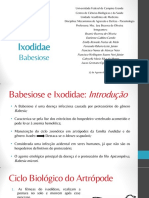 Babesiose Seminário - Parasitologia