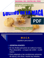 Manejo Agronómico de La Maca Curso