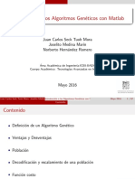 Introduccion A Los Algoritmos Geneticos Con Matlab PDF