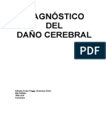 Daño Cerebral 