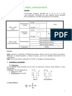 06 Ácidos Nucleicos PDF