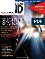 Brighter Brains