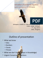 Status of The Egyptian Vulture in Ethiopia