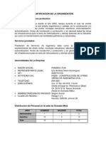 Identificación de La Organización Empresa Piasing Ltda