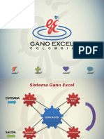 8 Sistema de Gano Excel - PPSX