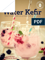 Water Kefir Ebook PDF