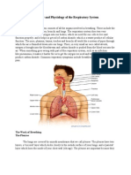 Anatomy and Physiology of The Respiratory System