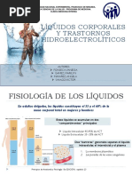 Liquidos y Electrolitos Medicina Interna