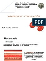 Hemostasia y Coagulacion PDF