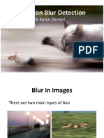 Motion Blur Detection