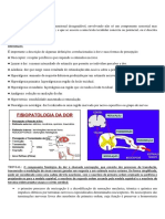 Fisiopatologia Da Dor