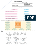 Prueba Ciencias Naturales Unidad 2