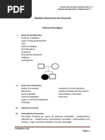 Informe Psicológico Del Adulto