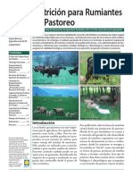 Rumiantes PDF