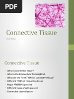 Connective Tissue PP