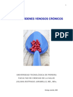 Anatomia Venosa de Los Miembros Inferiores PDF