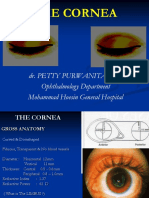 The Cornea PPT Edit