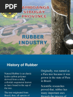 Rubber Situationer Sibugay PDF