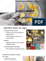 4 - Micologia Médica - Parcial PDF