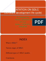 Presentation On SDLC (Software Development Life Cycle)