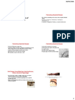 Bacterial Diseases of Crustaceans