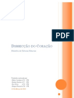 Relatório Dissecção Do Coração