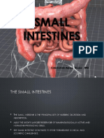 Small Intestines: C A D, MD