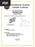 Actividad Enzimatica de Fosfatasa Acida en Suero