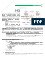 Histologia Tecido Nervoso