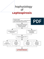 Physiology of Leptospirosis