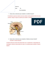 Estudo Dirigido Do Sistema Nervoso Central