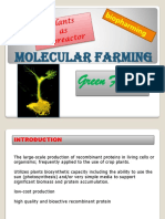 Molecular Farming