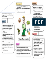 UTI - Concept Map