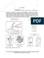 Cupressaceae PDF