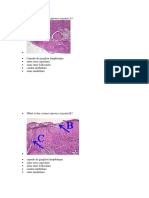 Grammaire Progressive Du Français Niveau Intermediaire