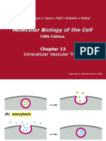 MBoC5e - CHPT - 13 Intracellular Vesicular Traffic