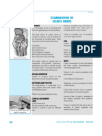 IR - 036 Sciatic Nerve