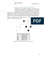 Ejercicios de Genealogía