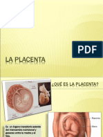 La Placenta