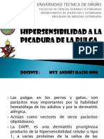 Hipersensibilidad A La Picadura de La Pulga