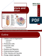 04 Lecture Animation Cell