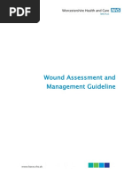 CL-078 Wound Assessment Guideline 2015