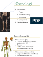 Axial Skeleton