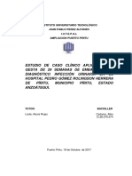 Estudio de Caso CLÍNICO APLICADO A III GESTA DE 29 SEMANAS DE EMBARAZO CON DIAGNÓSTICO INFECCIÓN URINARIA EN EL HOSPITAL PEDRO GÍMEZ ROLINGSON HERRERA DE PÍRITU, MUNICIPIO PÍRITU, ESTADO ANZOÁTEGUI.