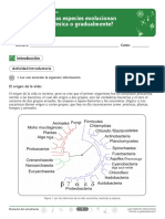 Guia Evolucion
