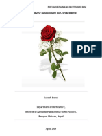 Post Harvest Handling of Cut-Flower Rose PDF